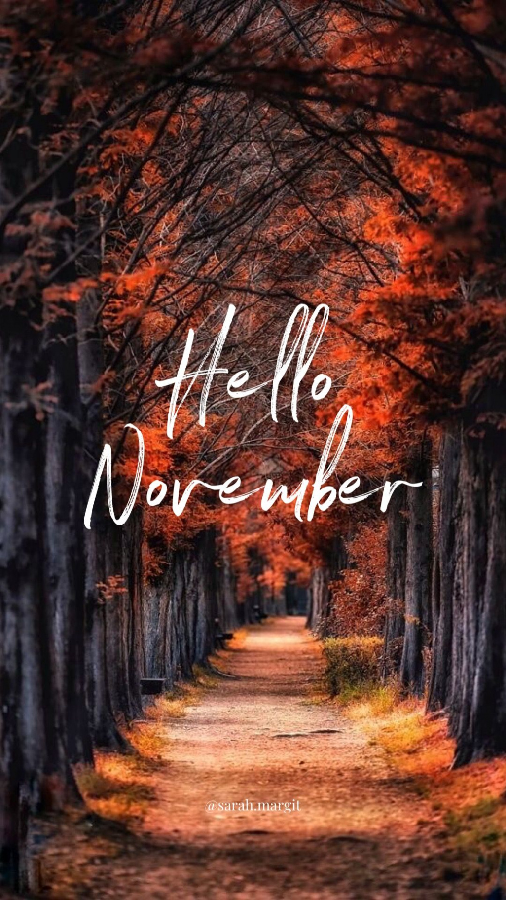 Aggregate + hello november wallpaper best - in.coedo.com