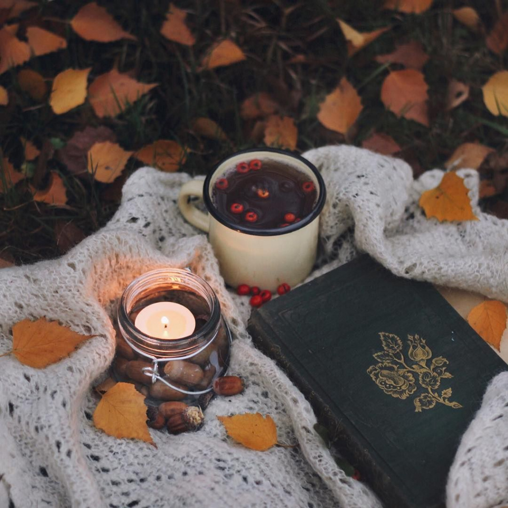 Autumn tea on a dark November evening🍂  Autumn tea, Hello autumn
