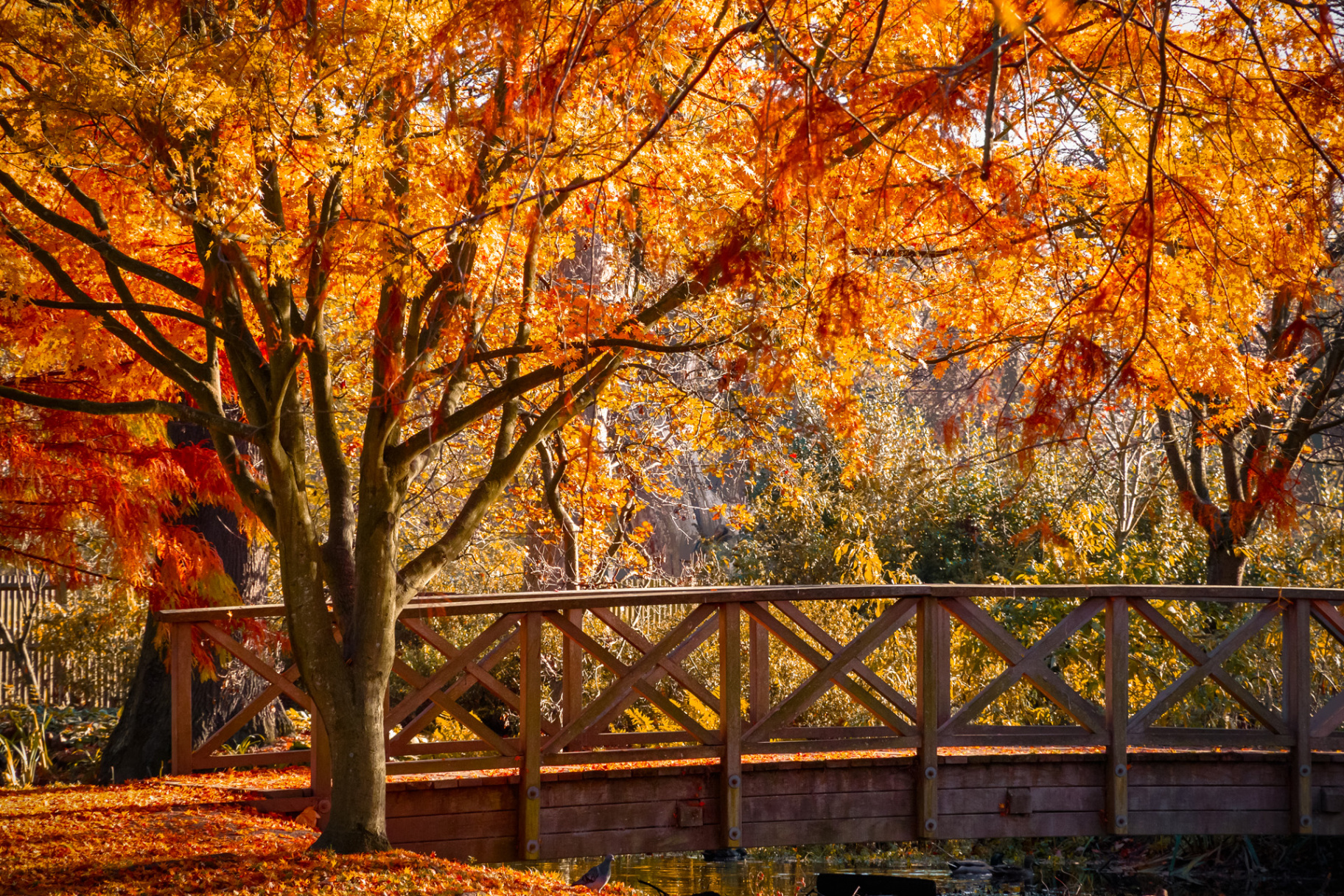 Autumn: The Best Places to Visit in the UK  Seasons Guide