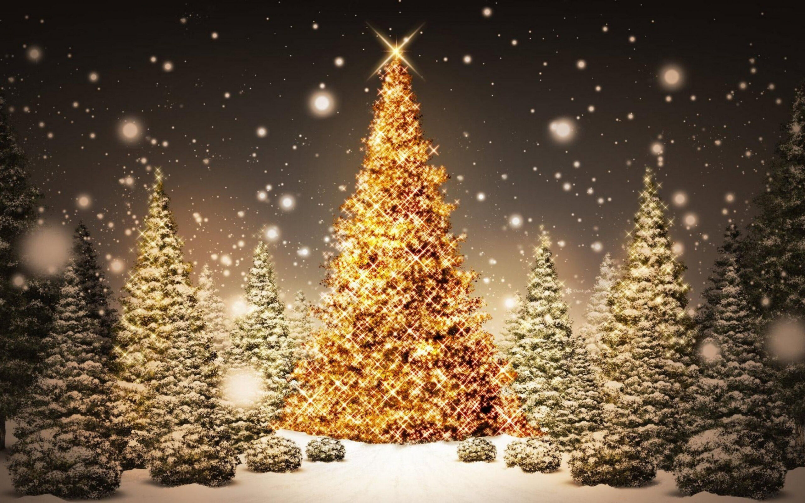 Best Merry Christmas Wallpaper ideas  christmas wallpaper