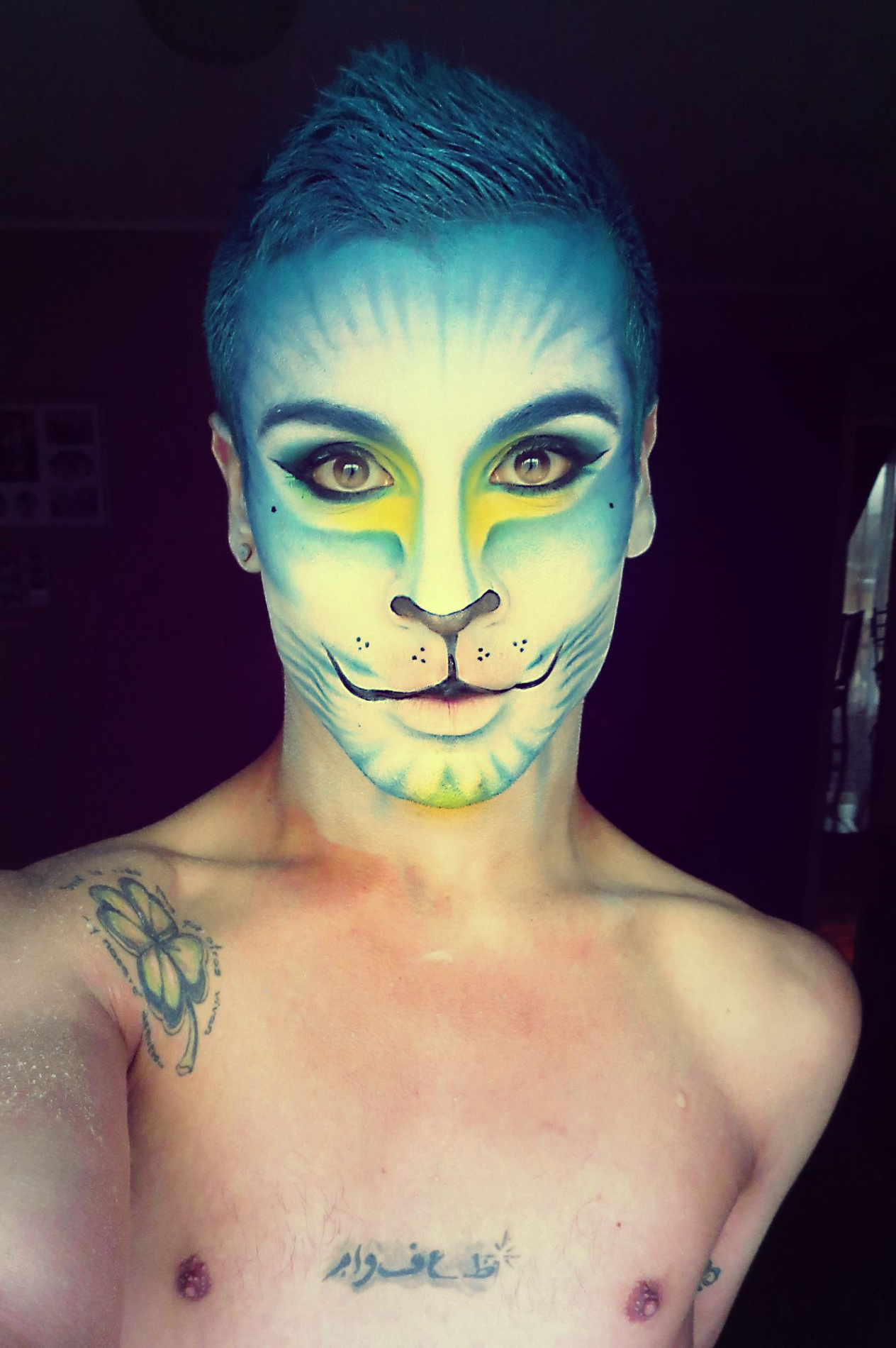 CAT MAKE UP  Male makeup, Makeup, Cat makeup