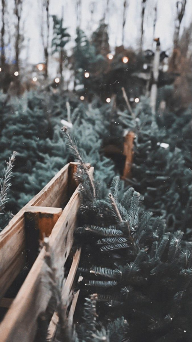 christmas aesthetic lockscreen  Winter christmas scenes, Winter