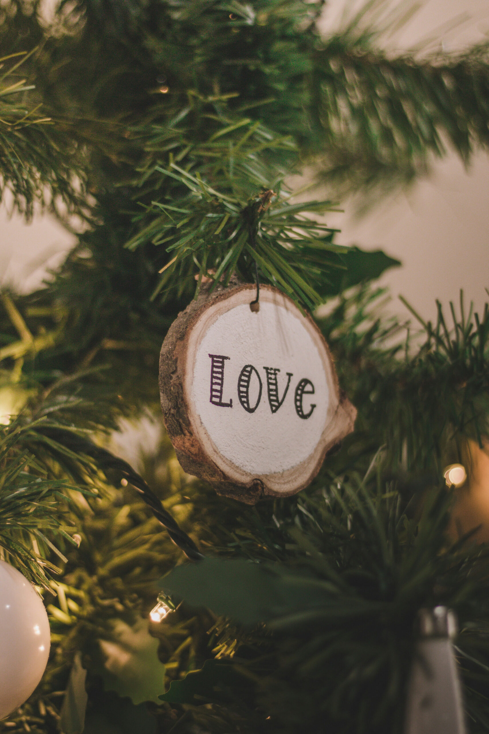 Christmas Love Pictures  Download Free Images on Unsplash