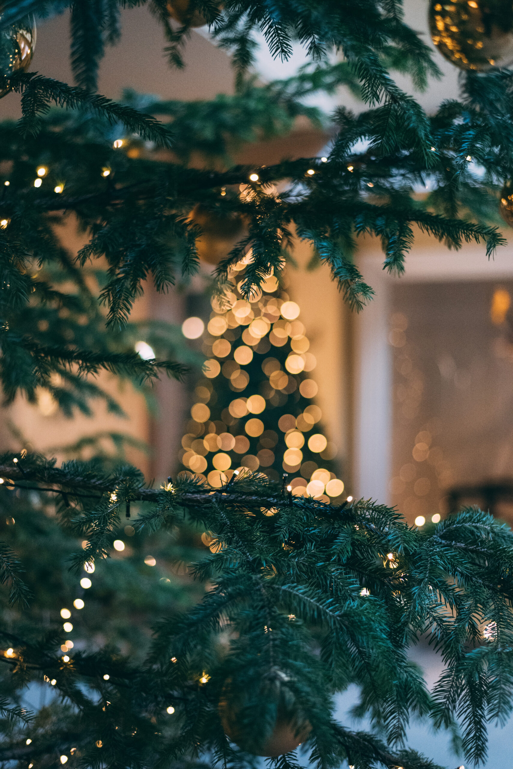 Christmas Wallpapers: Free HD Download [+ HQ]  Unsplash