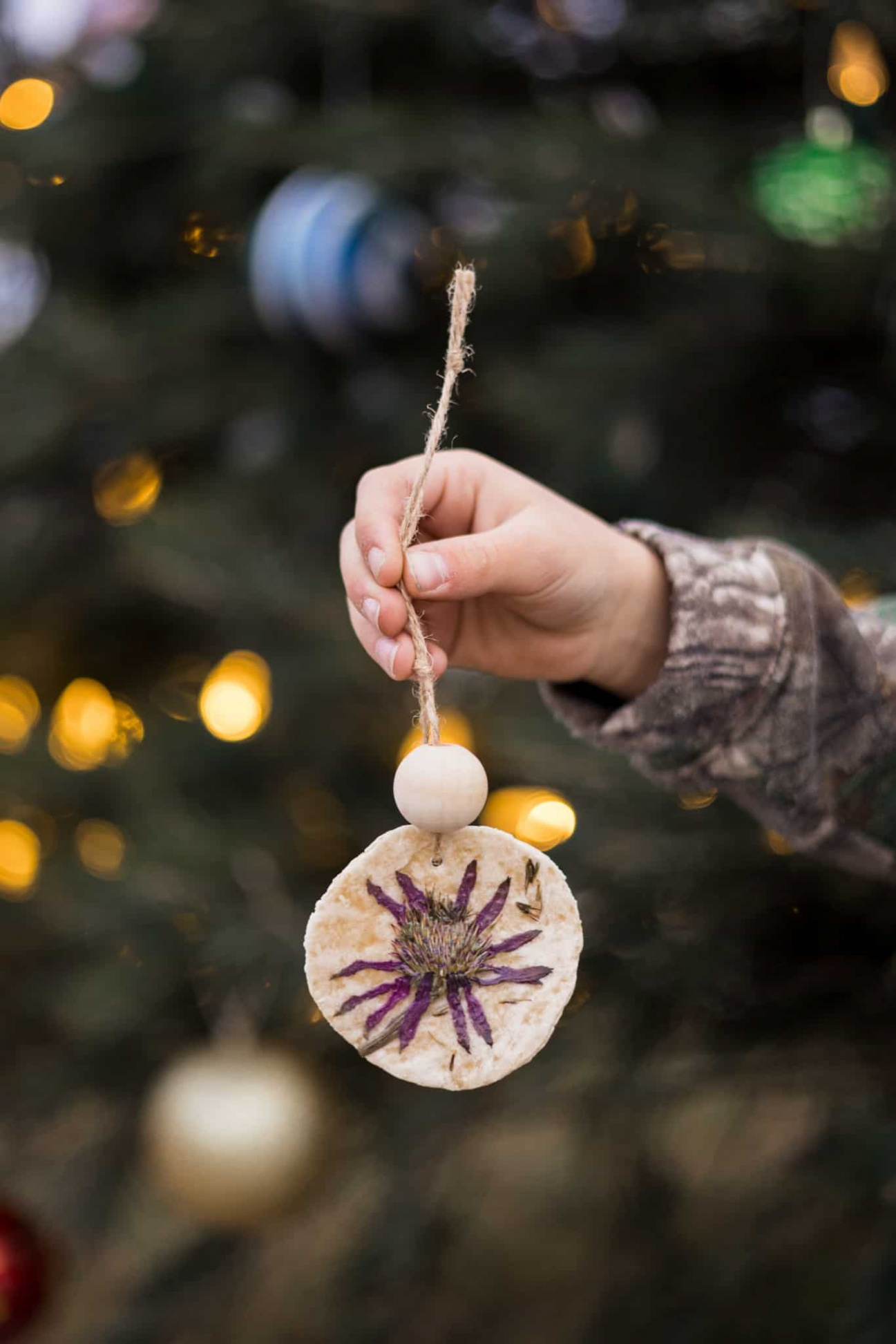 DIY Nature-Inspired Holiday Ornaments for Kids