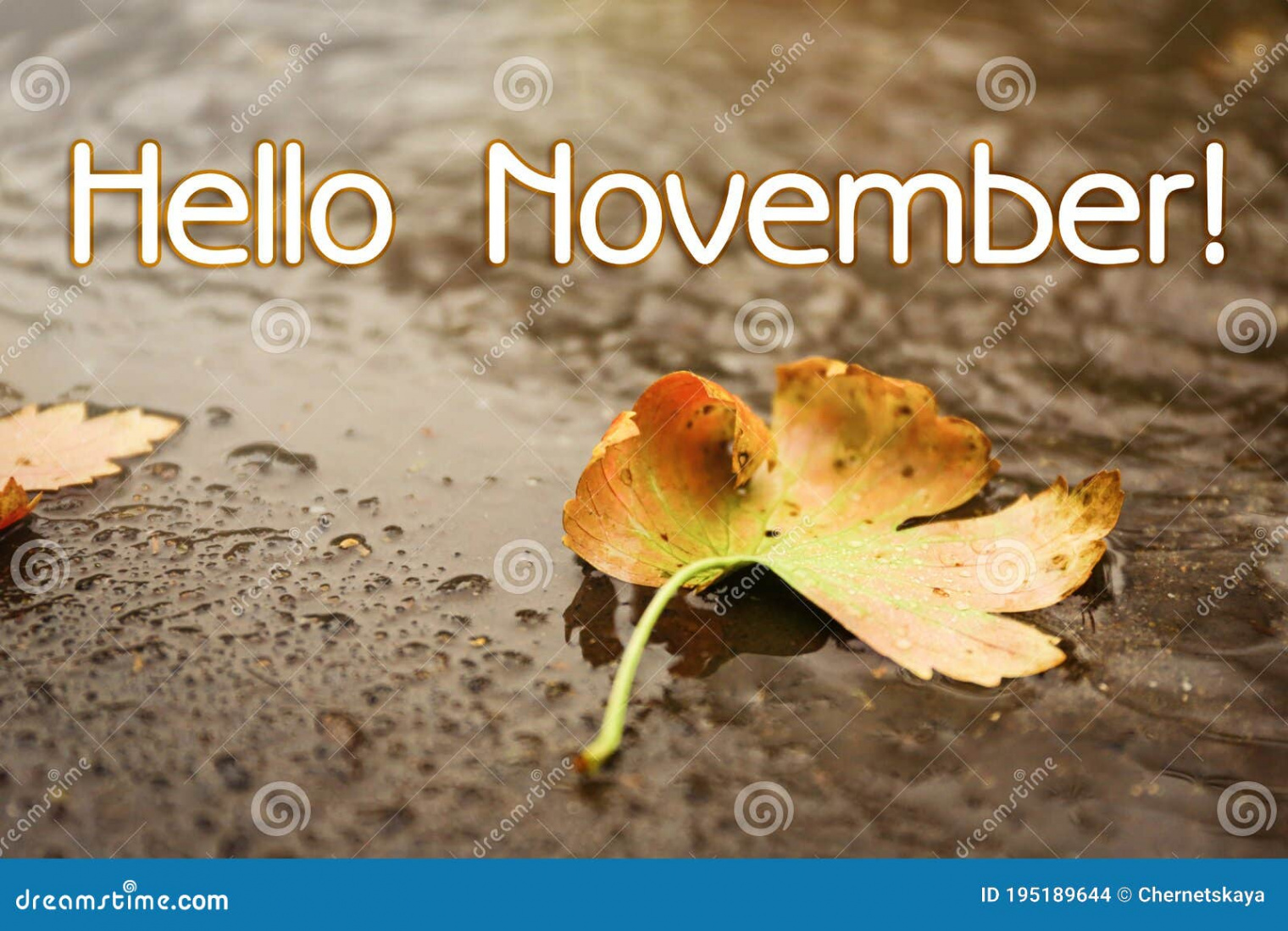 Hello November Card