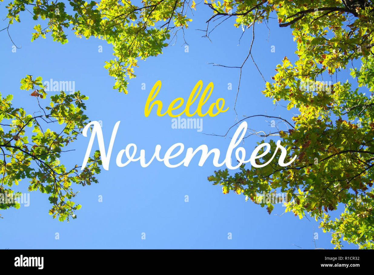 Hello november hi-res stock photography and images - Alamy