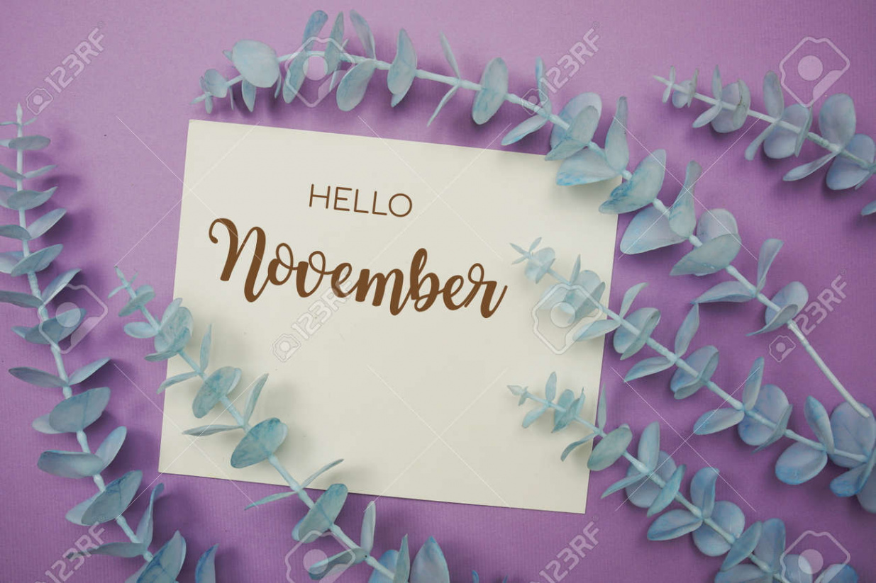 Hello November Typography Text On Paper Card Decorate With