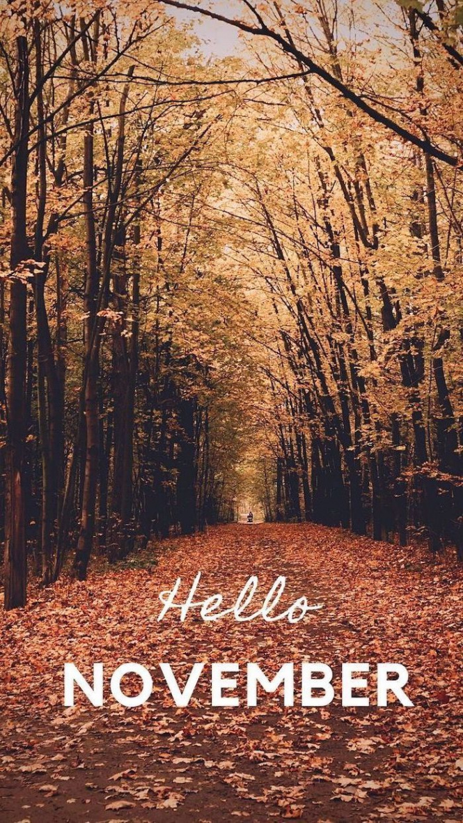 hello november written with white font autumn desktop wallpaper