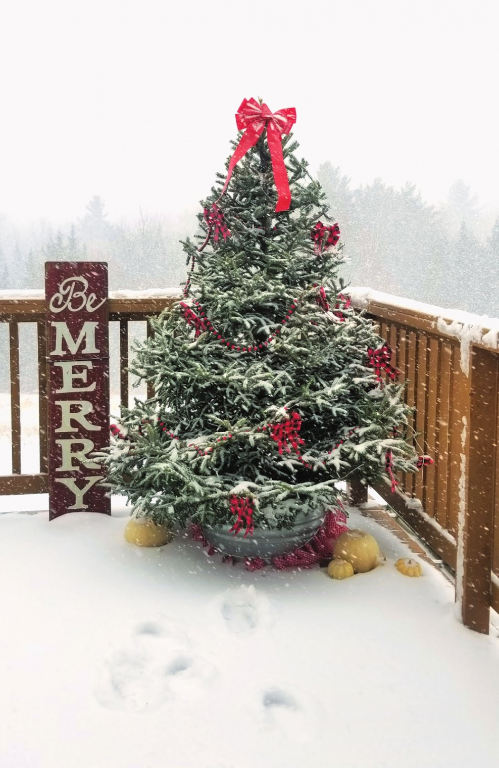 How to Decorate an Outdoor Christmas Tree - Fresh Eggs Daily® with