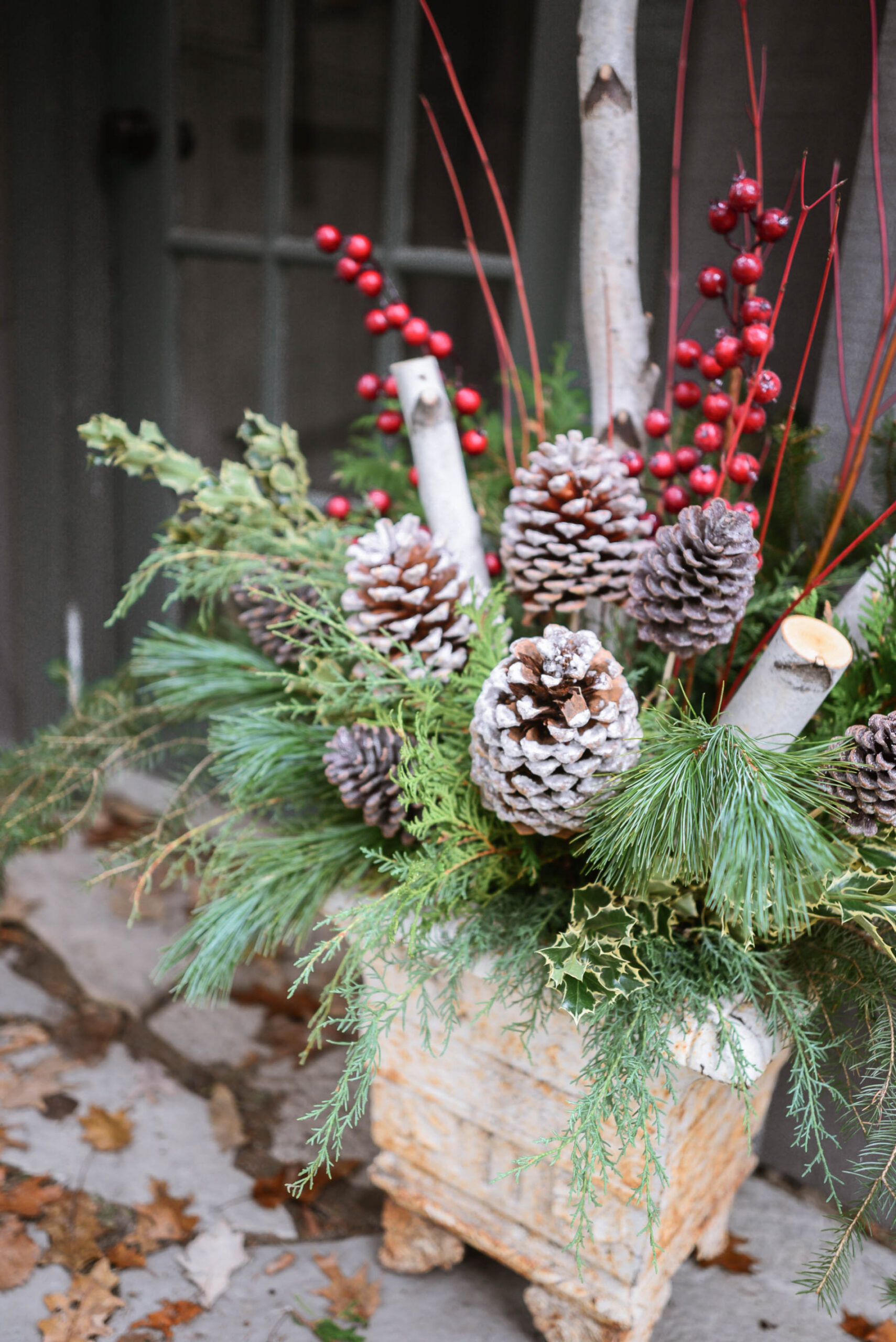 How to Make Outdoor Christmas Planters using Evergreen Boughs