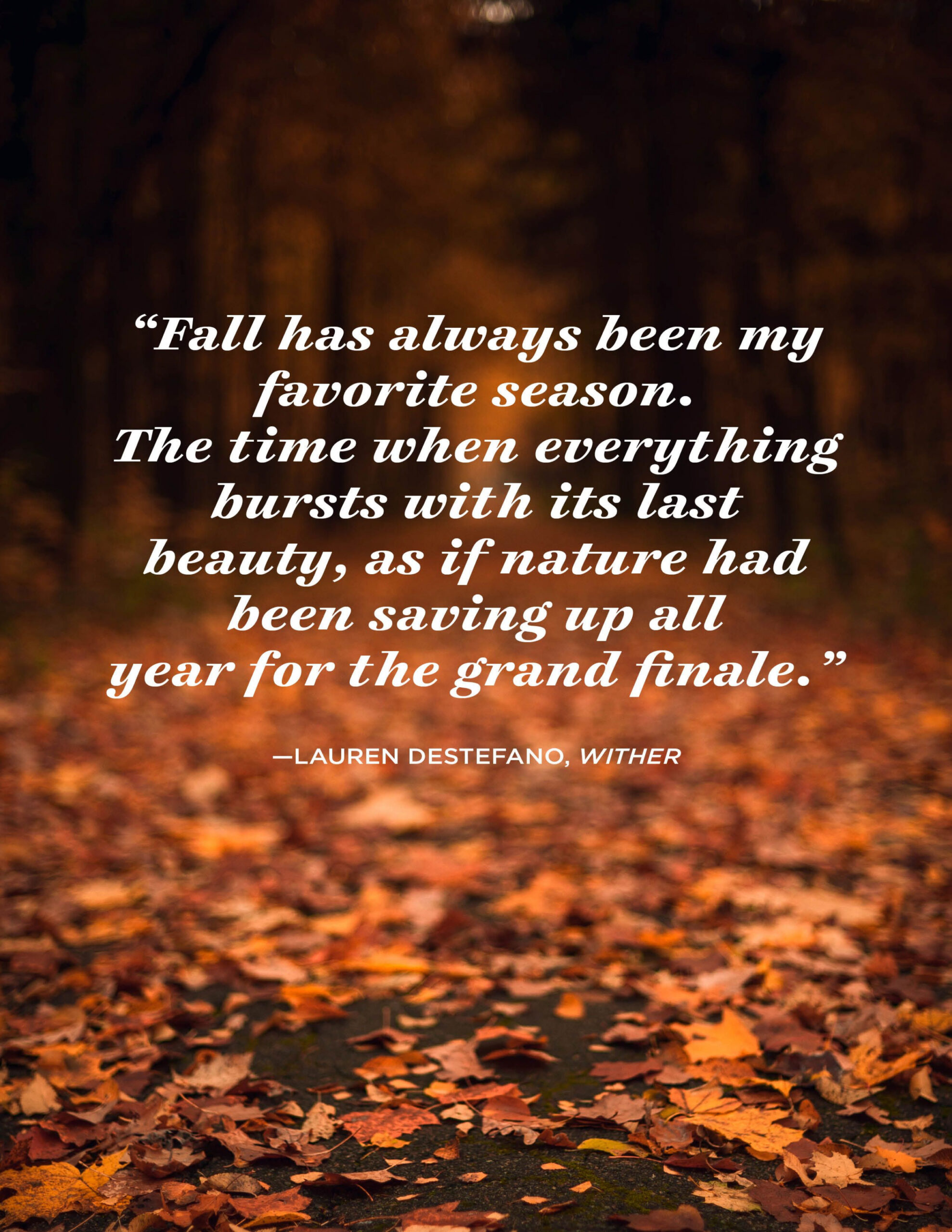 Inspiring November Quotes - Famous Sayings and Quotes about