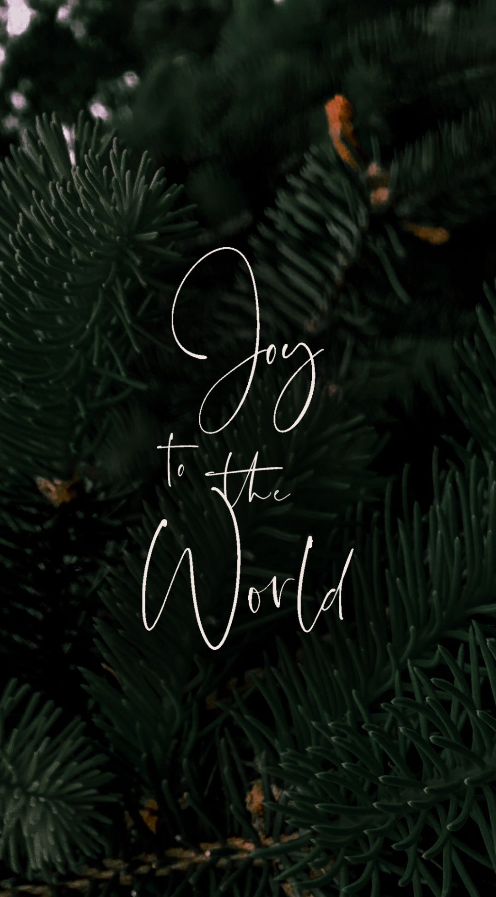 Joy To The World  World wallpaper, Joy to the world, Christmas