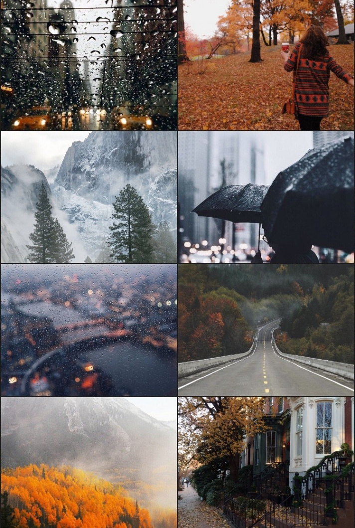 mischief managed — fredrweasley: november aesthetic; snow on the