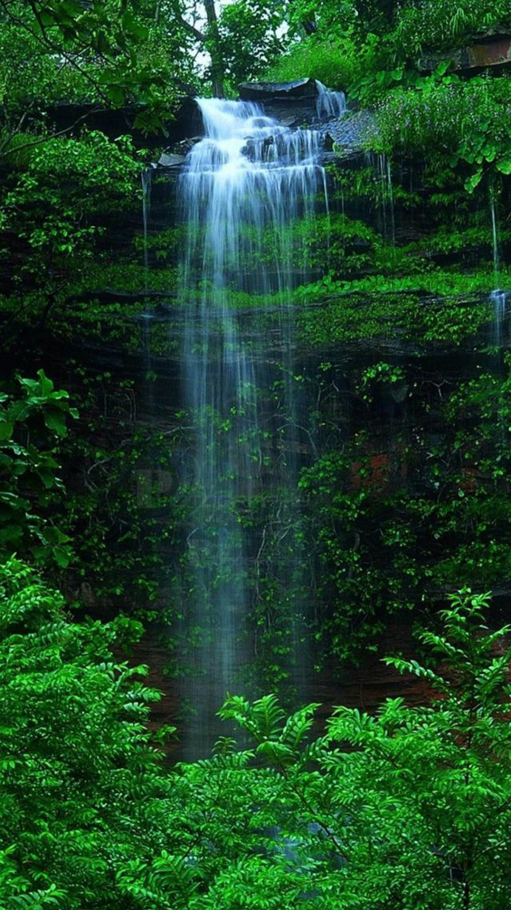 Nature Forest Waterfall iPhone  Wallpaper Download  iPhone