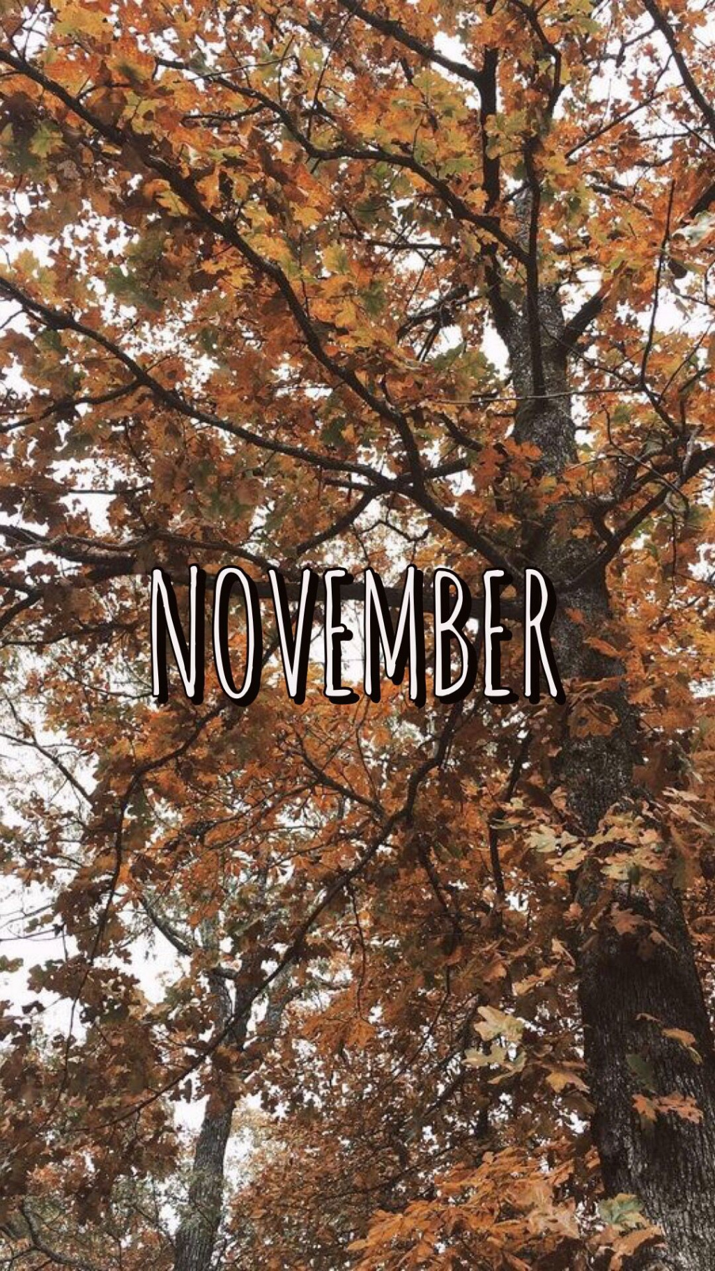 november wallpaper  November wallpaper, Free fall wallpaper