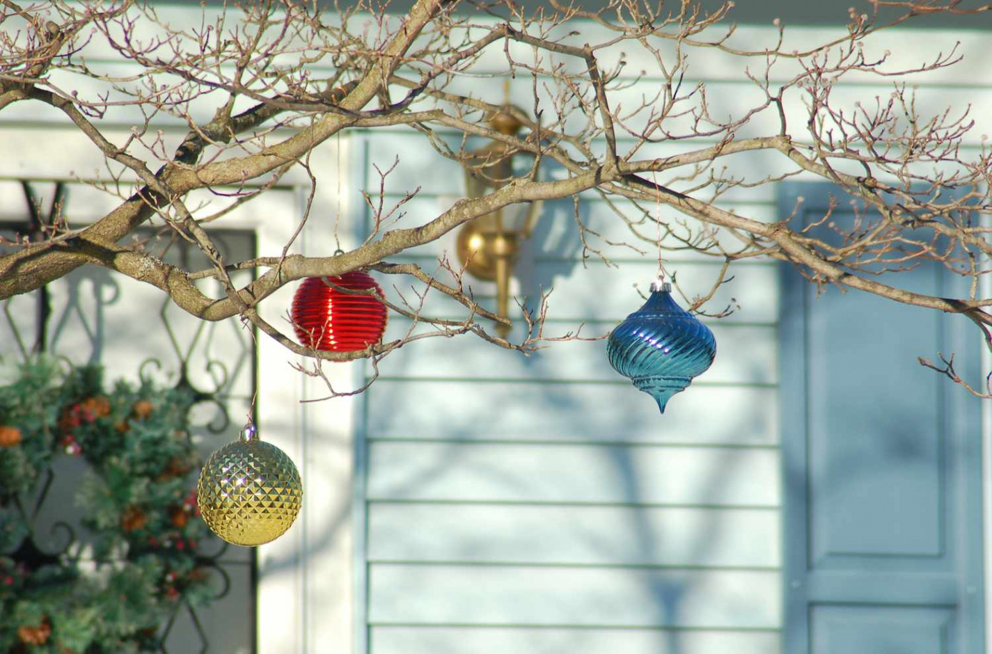 Outdoor Christmas Decorating With Trees and Foliage