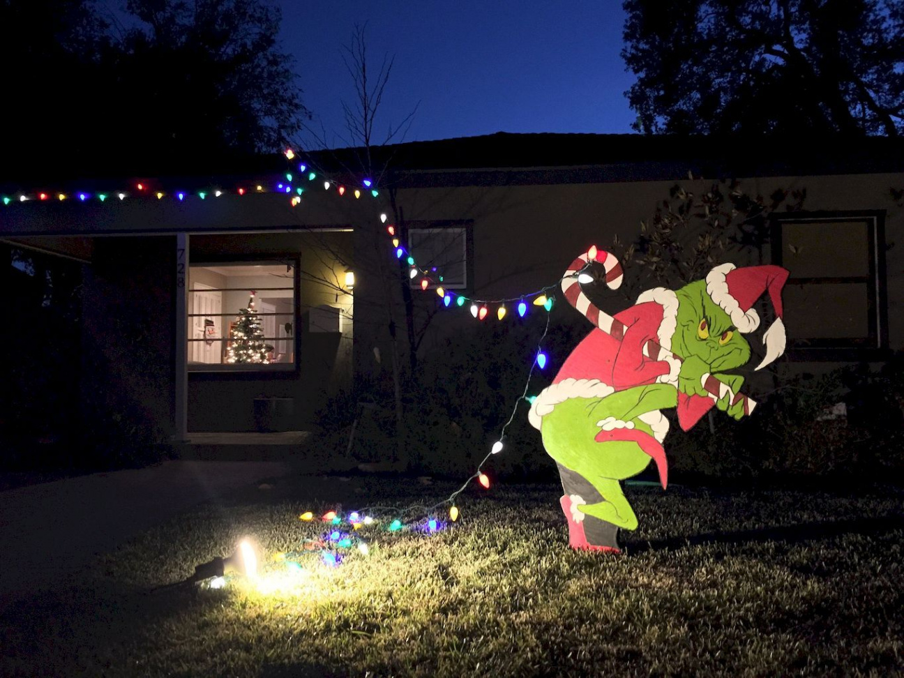 Outdoor Christmas Lights Decoration Ideas Home to Z  Grinch