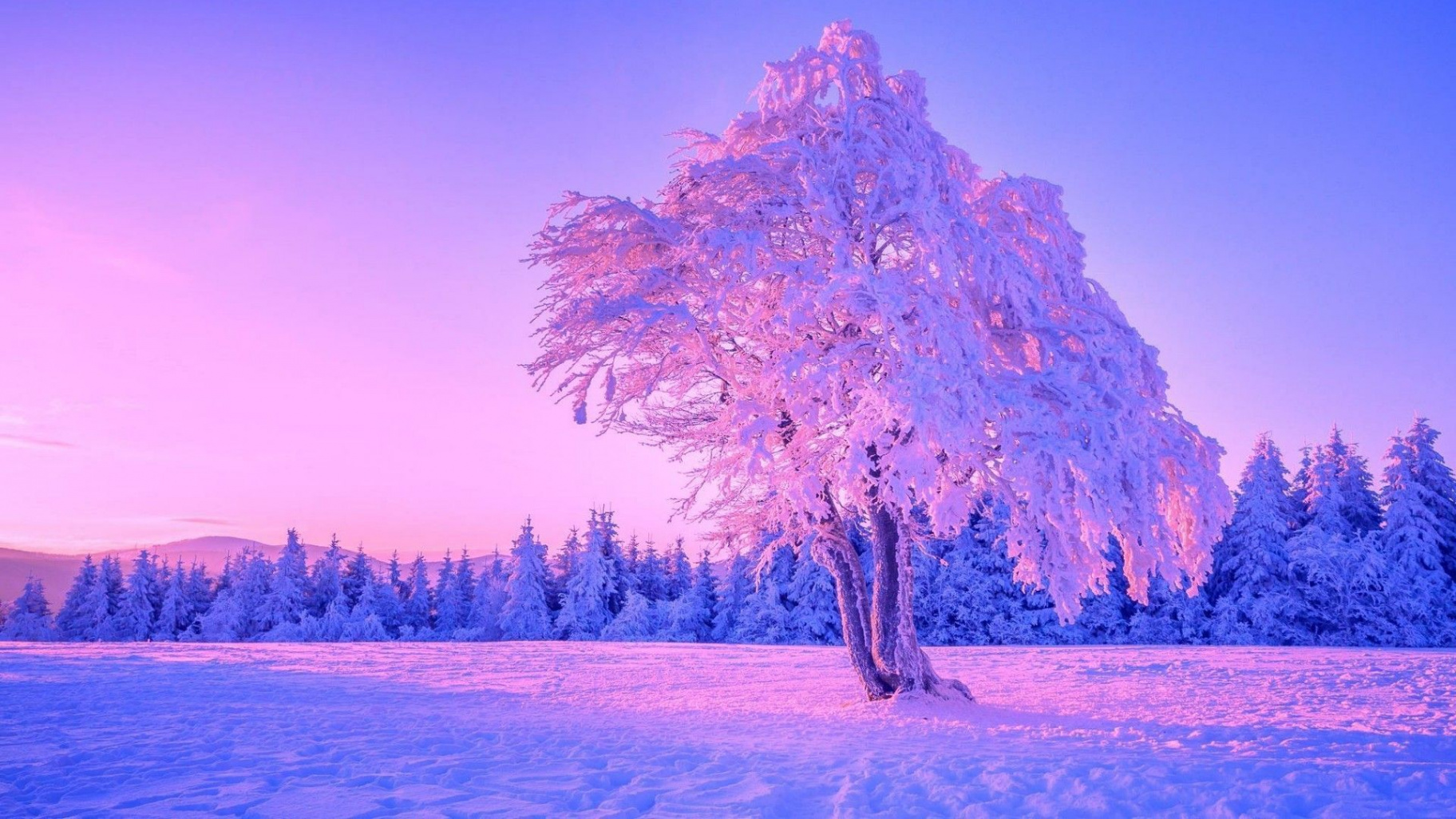 Purple Winter Wallpapers - Wallpaper Cave