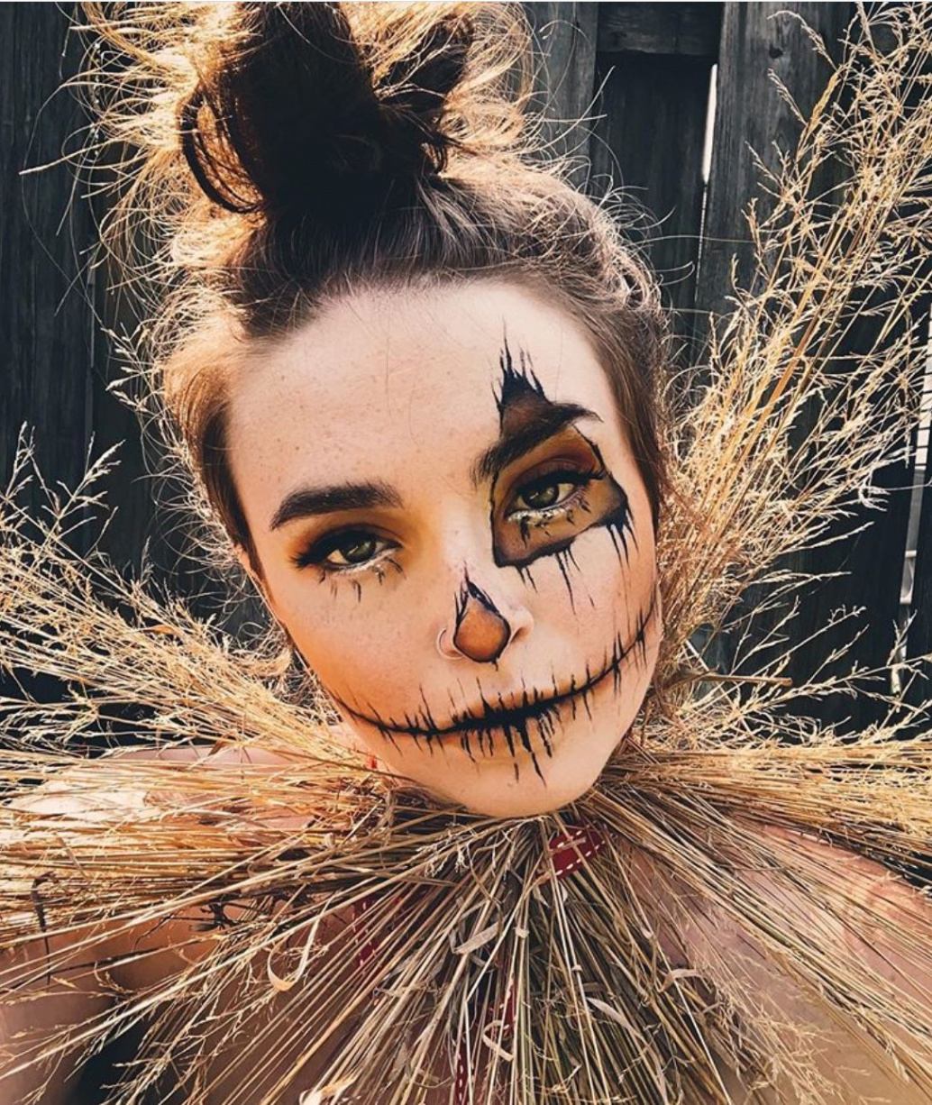 + Scarecrow Makeup Ideas For Halloween - The Glossychic  Creepy