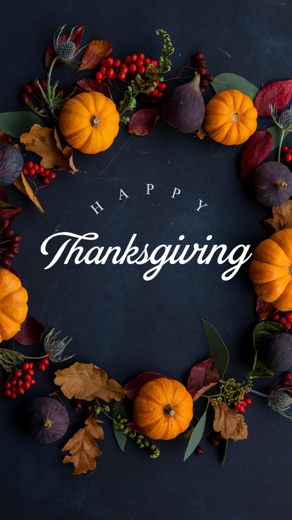 Top  Thanksgiving  Wallpapers [  November ]