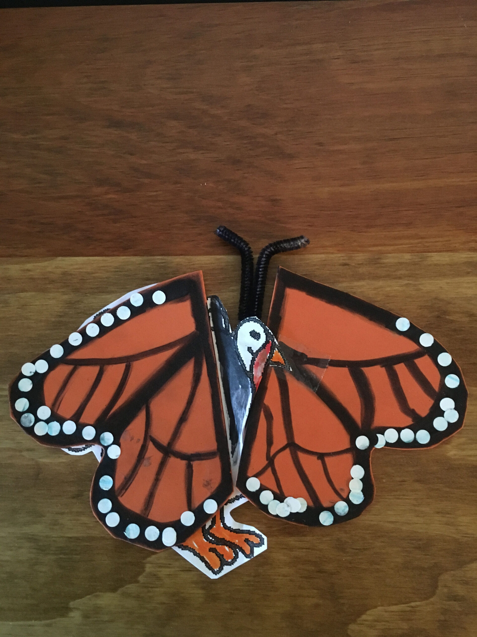 Turkey in disguise - monarch butterfly  Turkey disguise