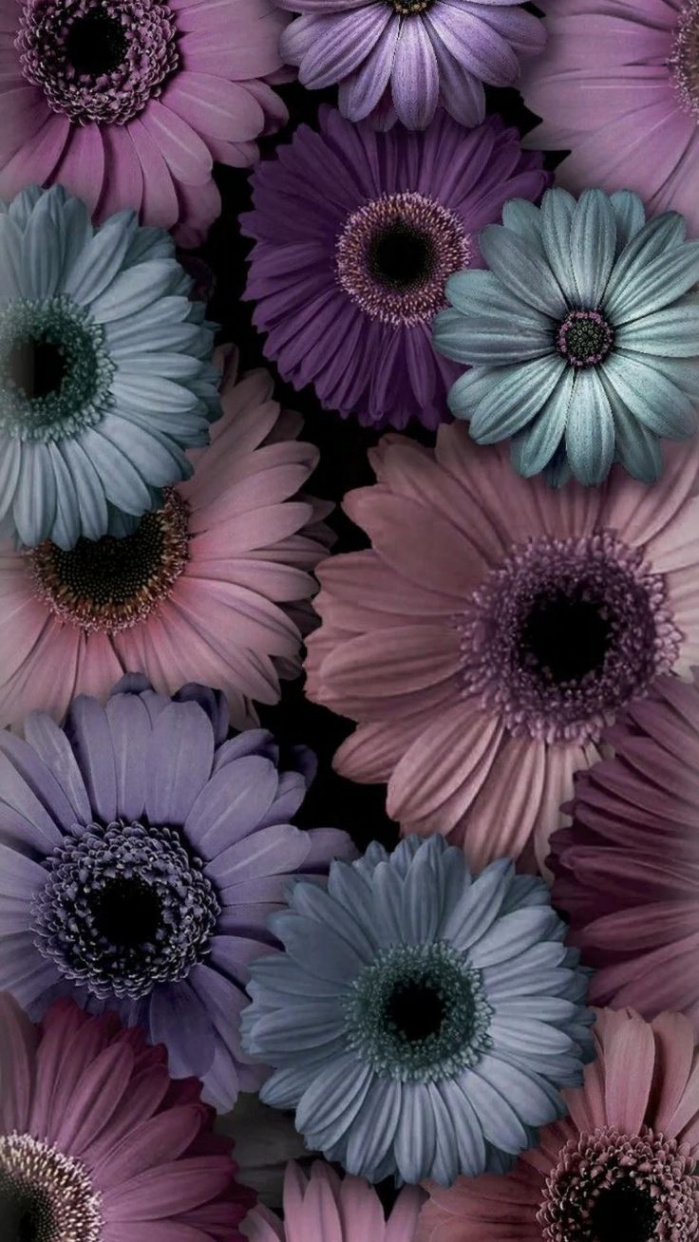 Wallpaper for Phone  Pinterest  Iphone wallpaper purple flower