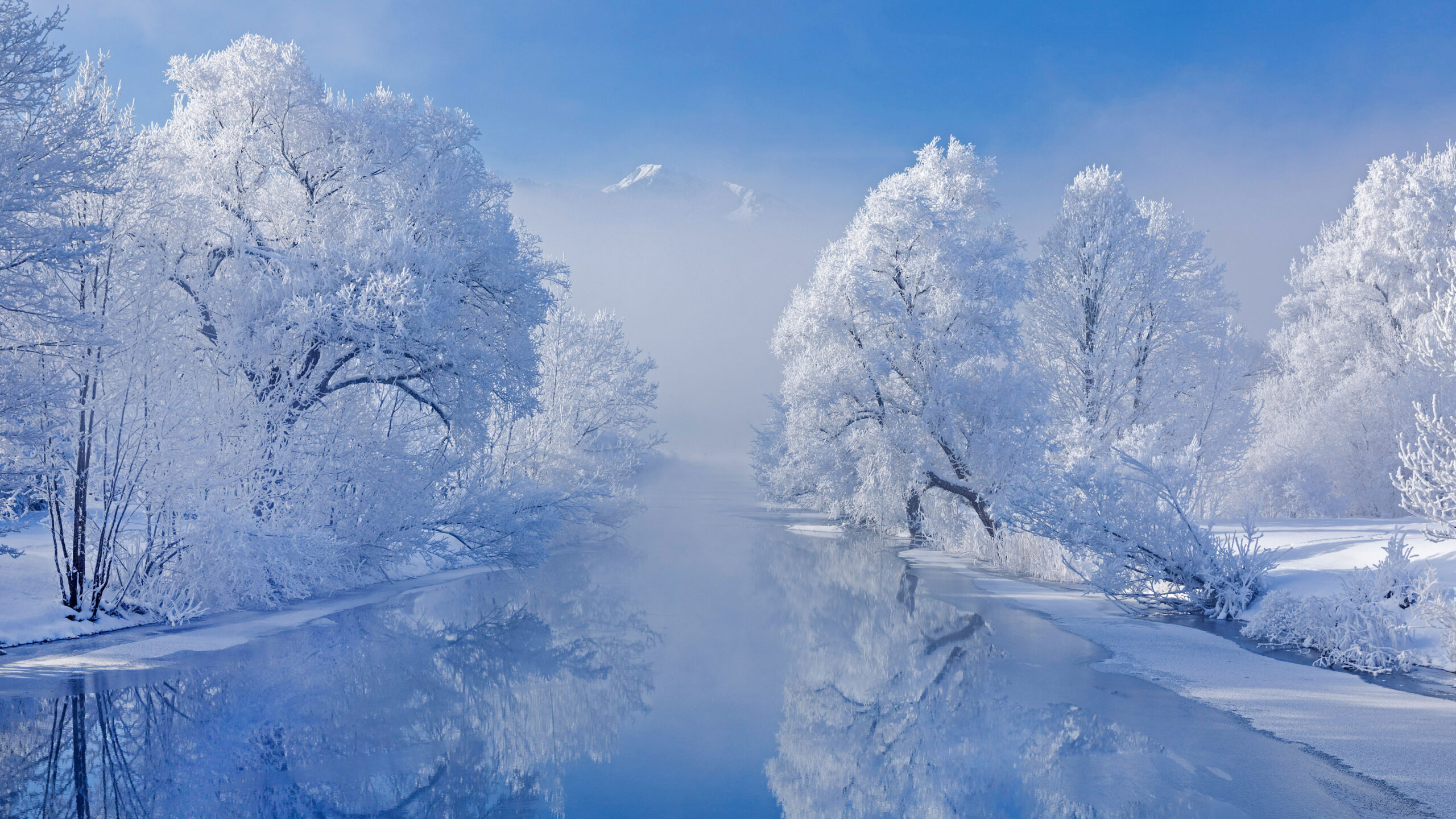 + Winter HD Wallpapers and Backgrounds