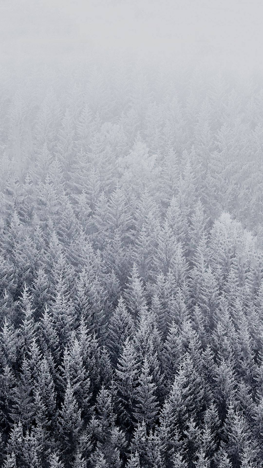 +] Winter Iphone Wallpapers  Wallpapers