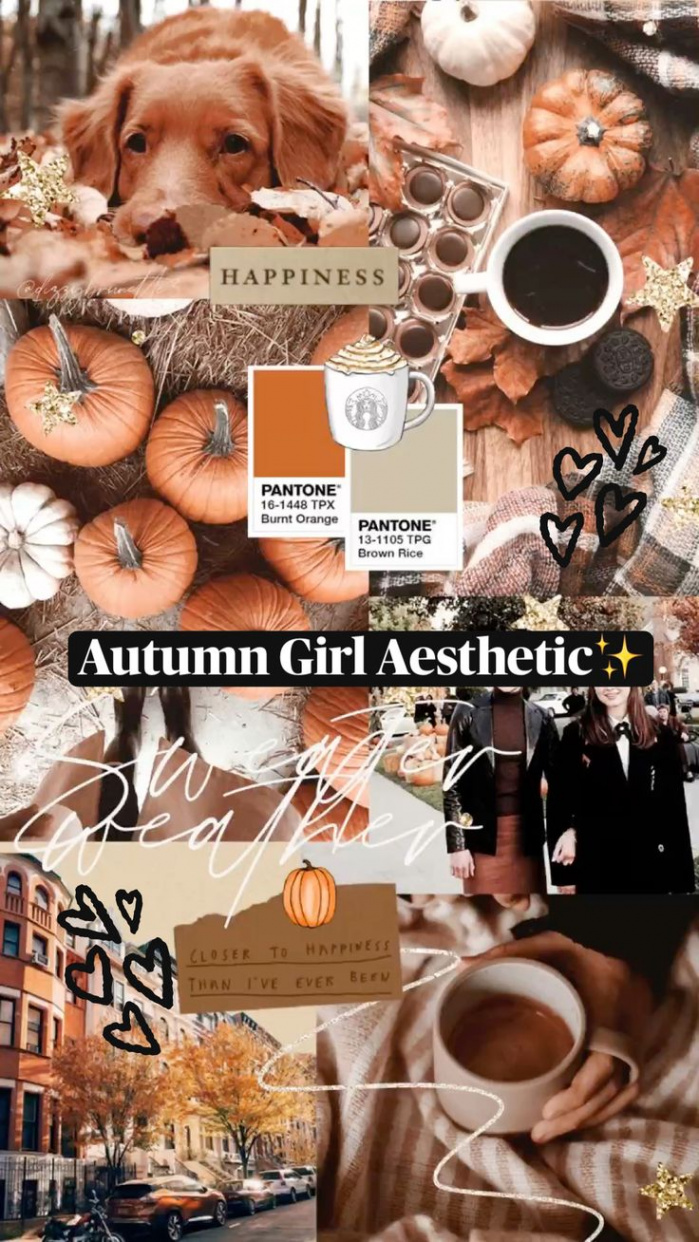 Autumn Girl Aesthetic✨