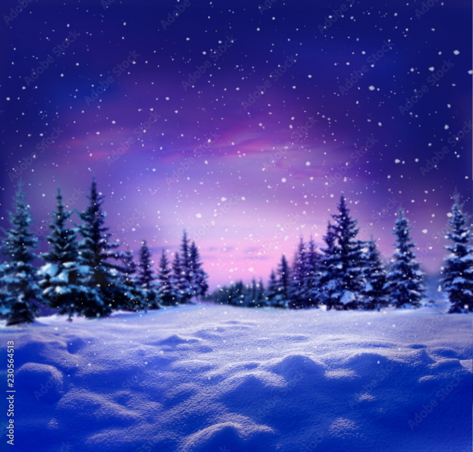 Beautiful winter night landscape with snow covered trees