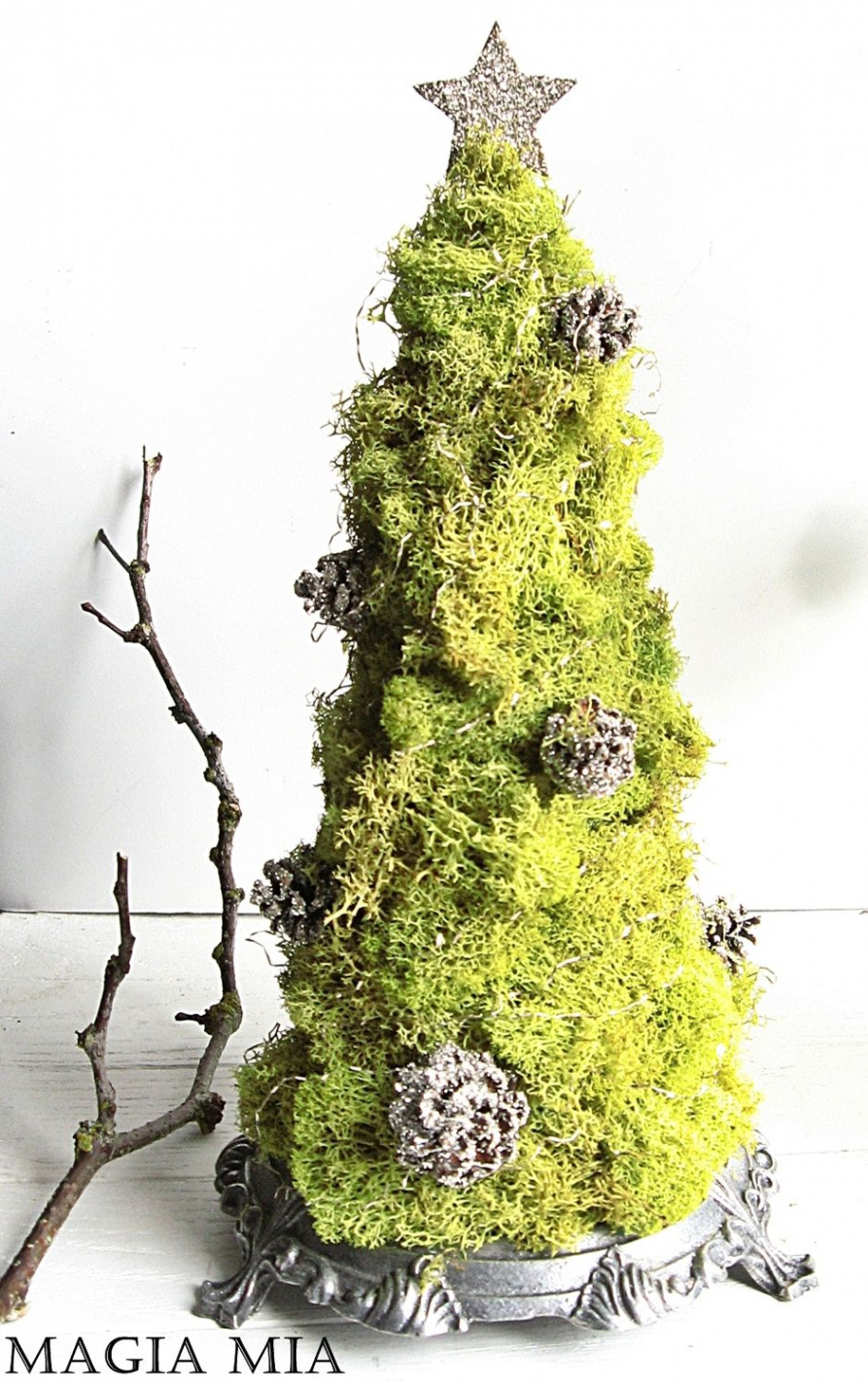 Chartreuse Reindeer Moss Tabletop Tree  Christmas garden