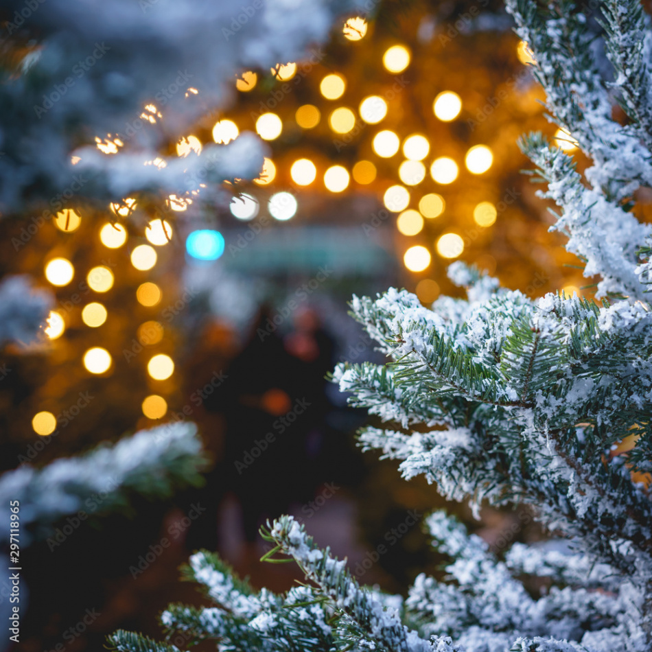 Christmas tree close-up with snow and blurred warm lights on the