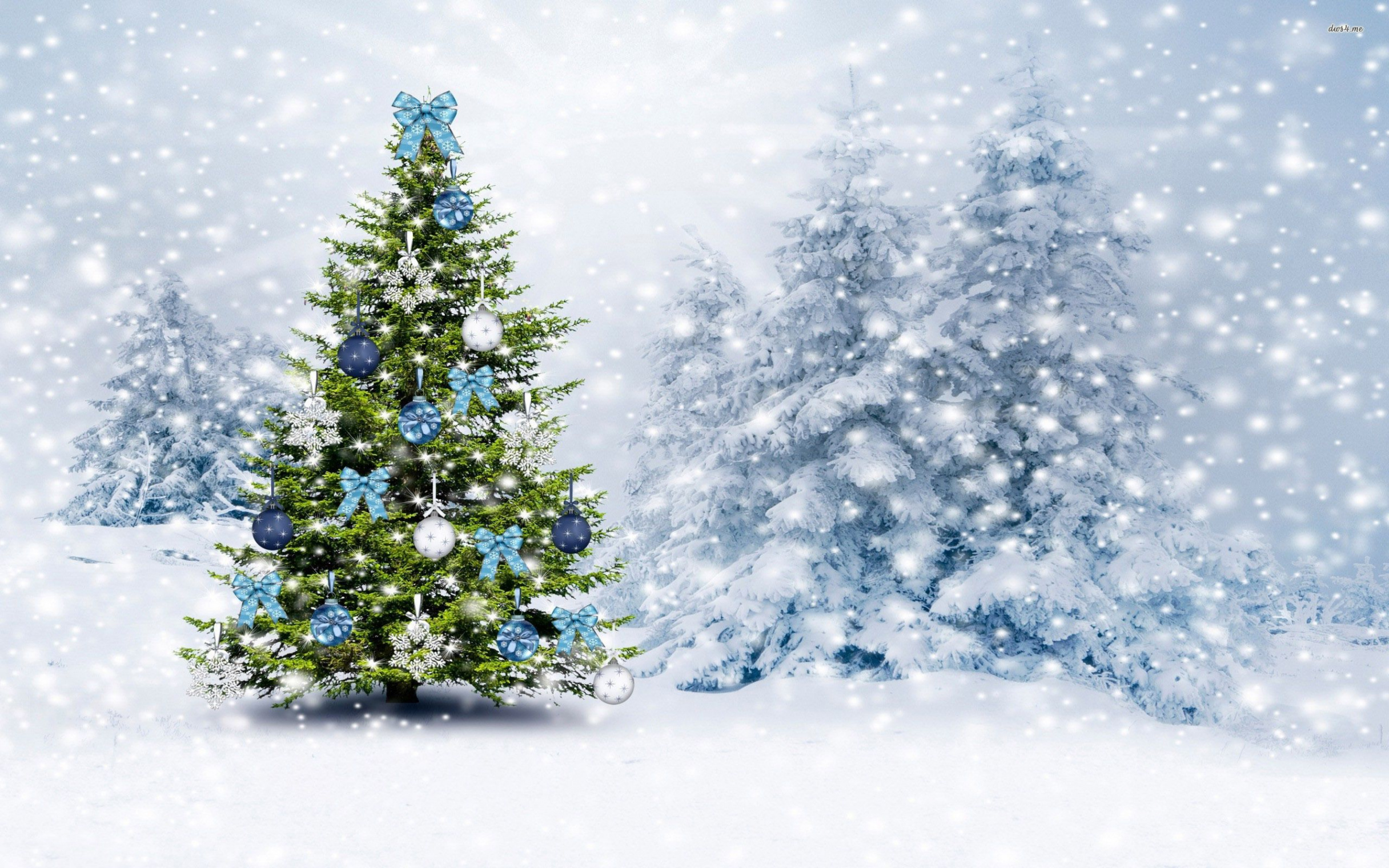 Christmas tree in the snowy forest HD wallpaper  Christmas tree