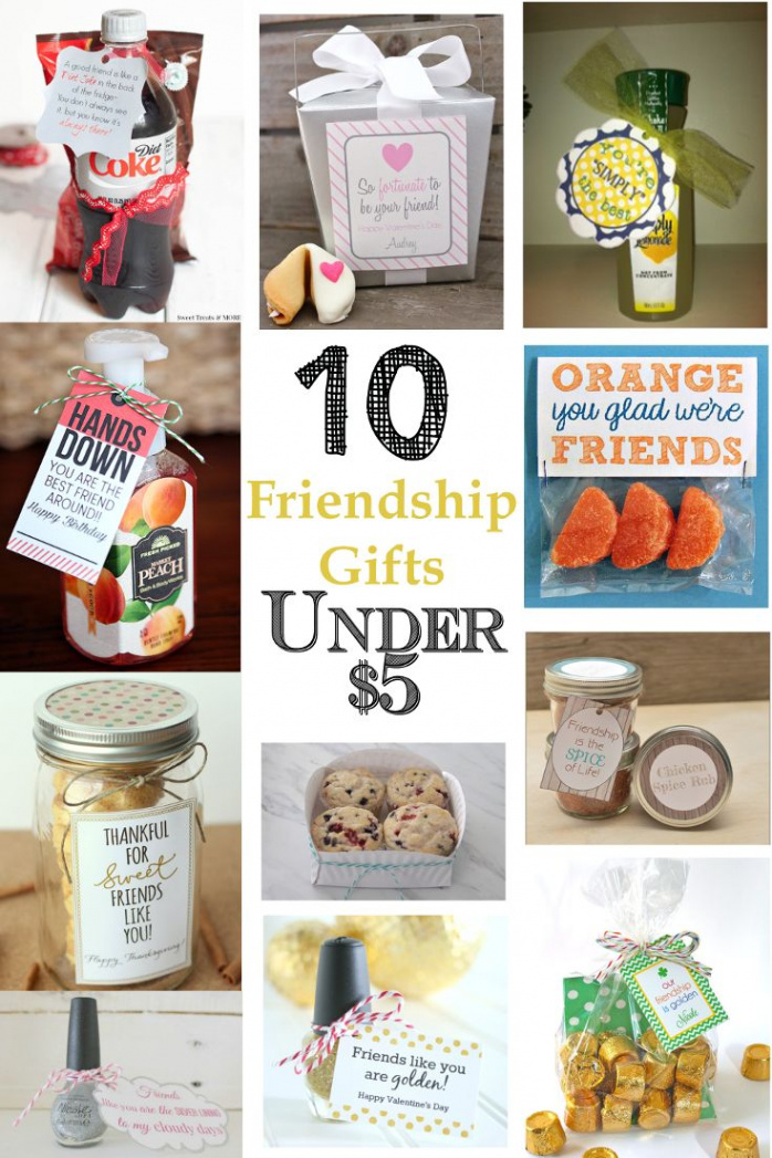 DIY Gift Ideas Under $  Secret pal gifts, Friendship gifts