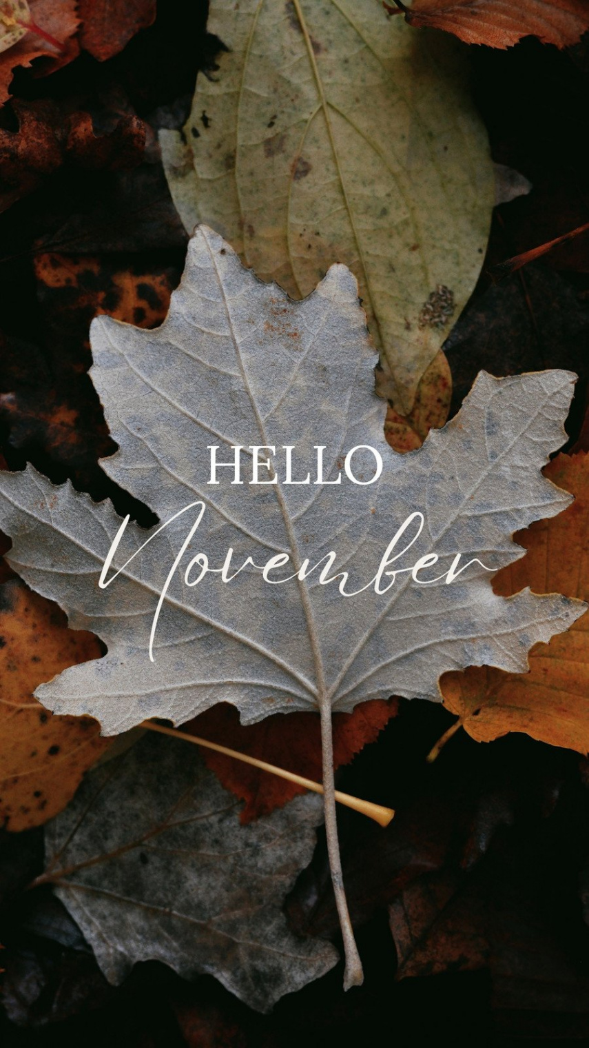 Free and customizable november templates