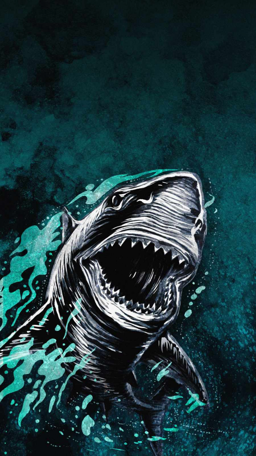 Great White Shark IPhone Wallpaper - IPhone Wallpapers : iPhone