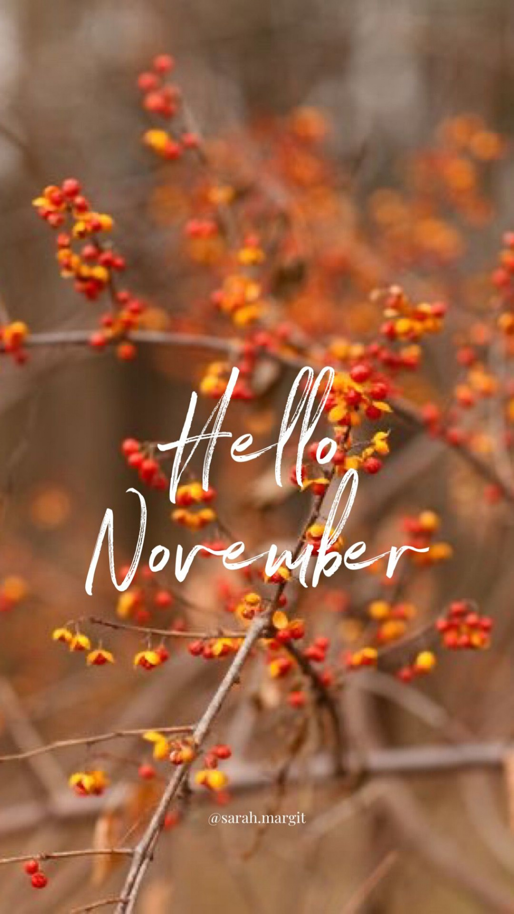 Hello November Wallpaper  November wallpaper, Hello november