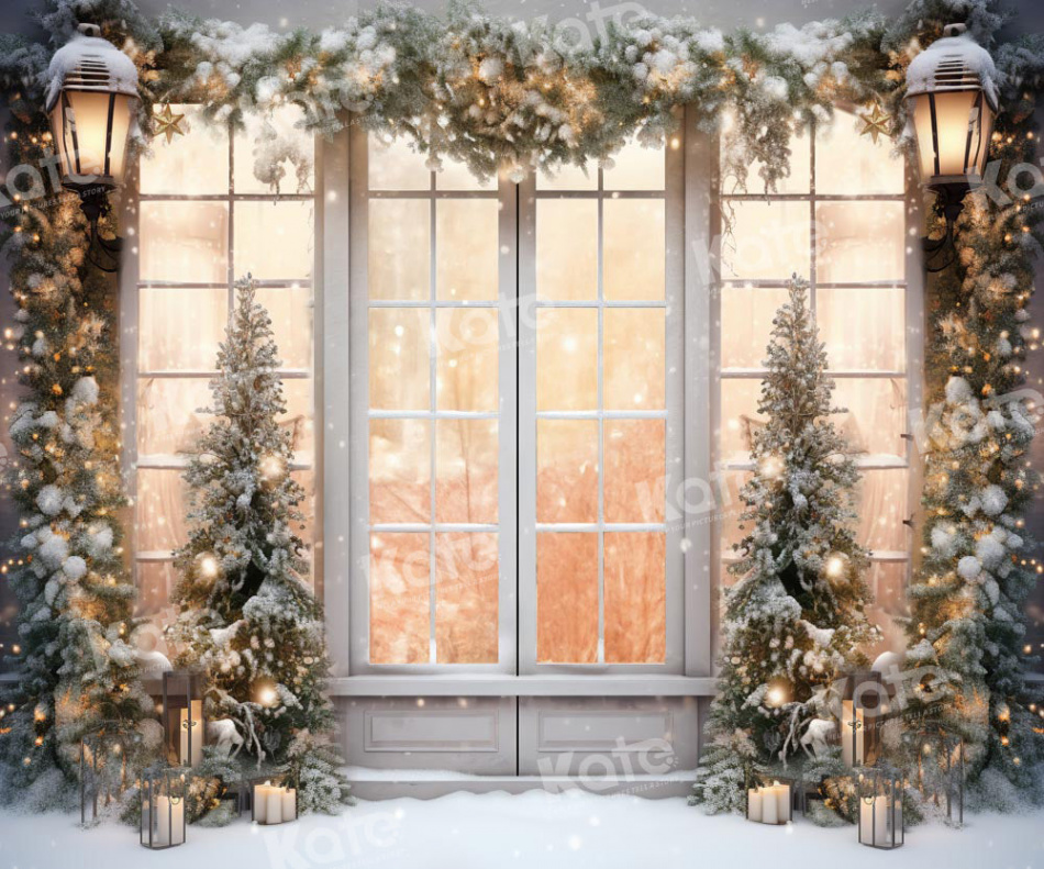 Kate Christmas Outdoor White Window Snow Backdrop Designed by Chain Ph