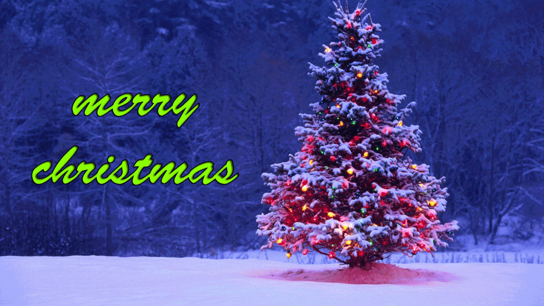 Merry Christmas Gif   Christmas desktop, Merry christmas gif