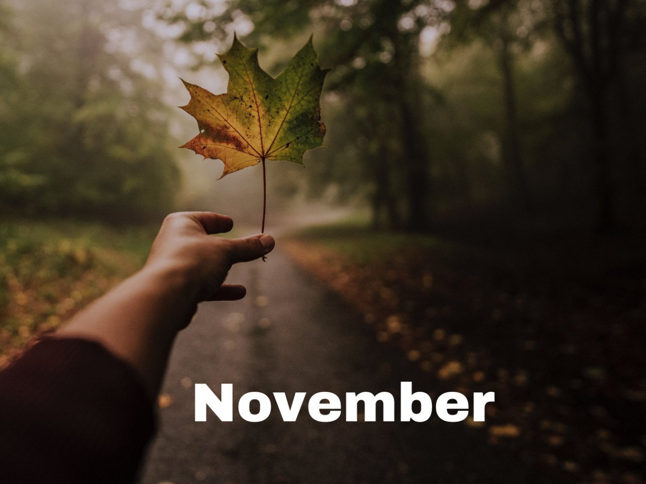 November: Exploring the th Month