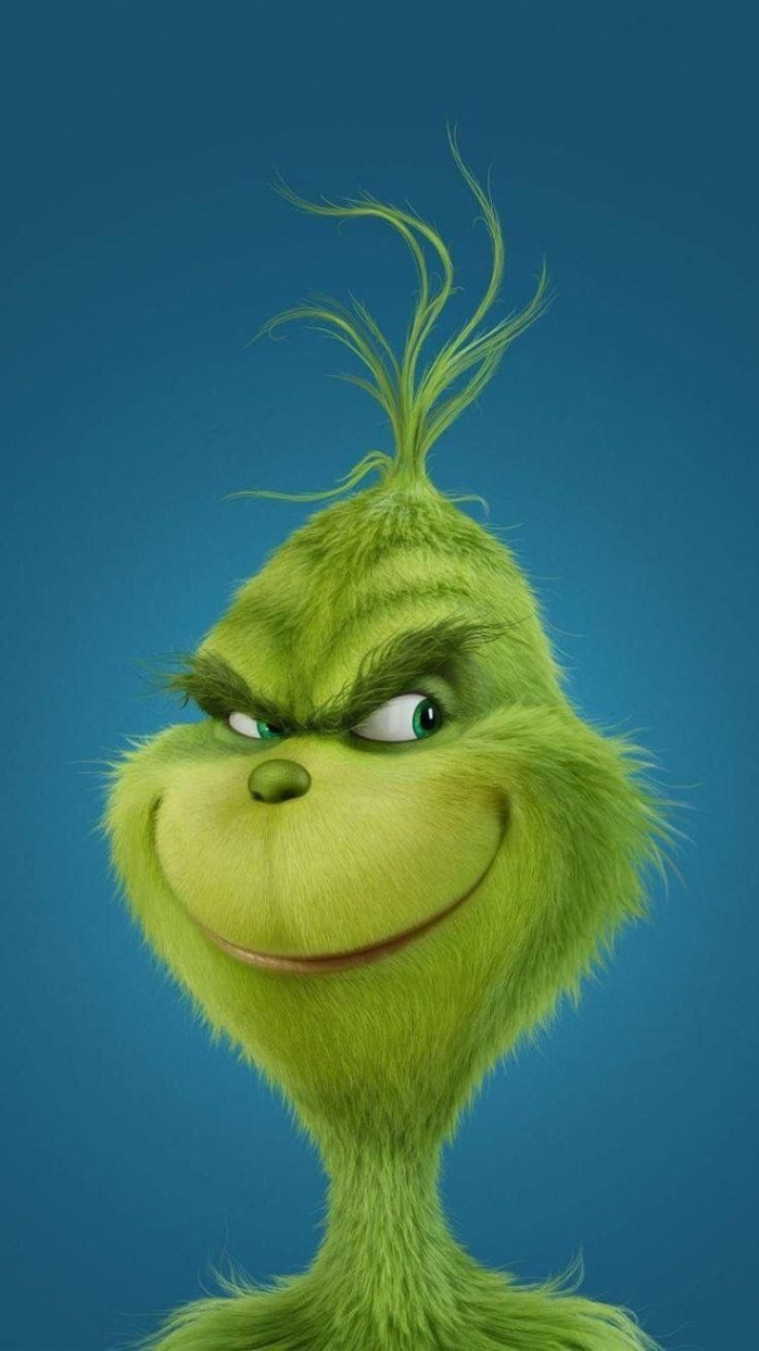 Pin on The Grinch Stole Christmas