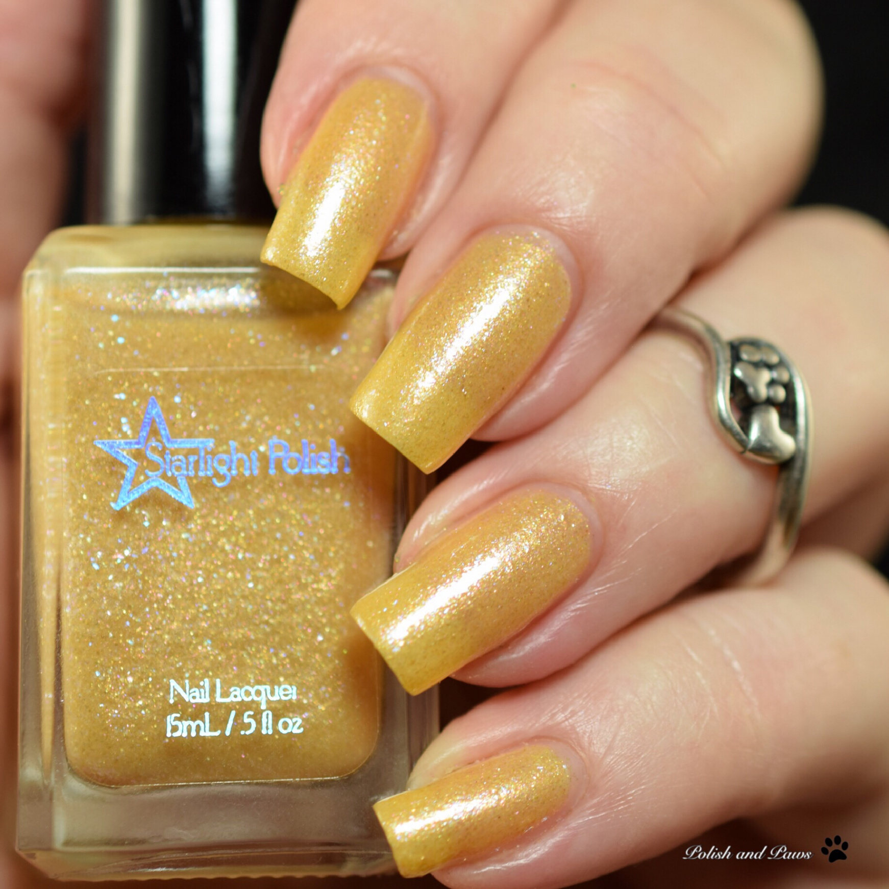 Polish Pickup ~ Starlight Polish Once Upon a December  Polish and