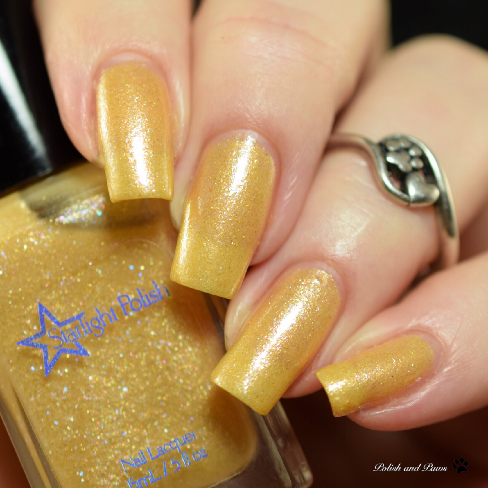 Polish Pickup ~ Starlight Polish Once Upon a December  Polish and