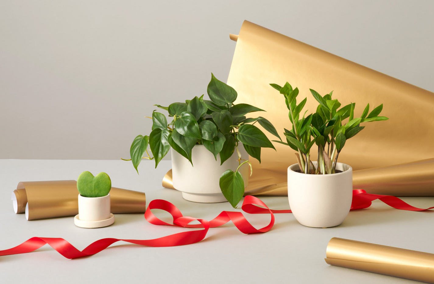 Unique and Creative DIY Christmas Plant Gift Ideas - Omysa