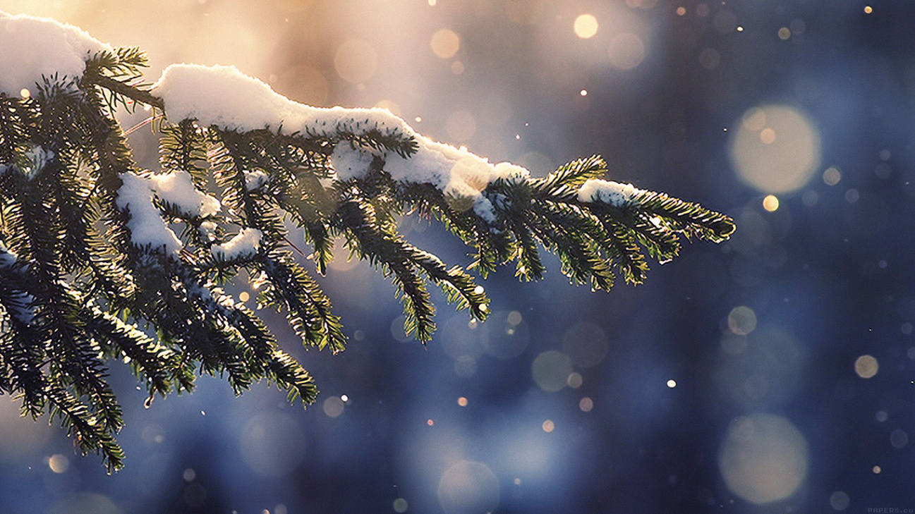 wallpaper for desktop, laptop  mk-snowing-tree-blue-christmas