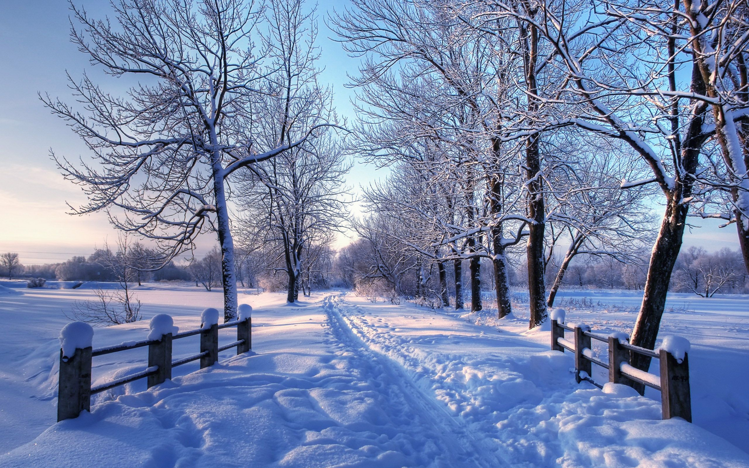 Winter Wallpaper For Mac  Winter landscape, Winter scenery