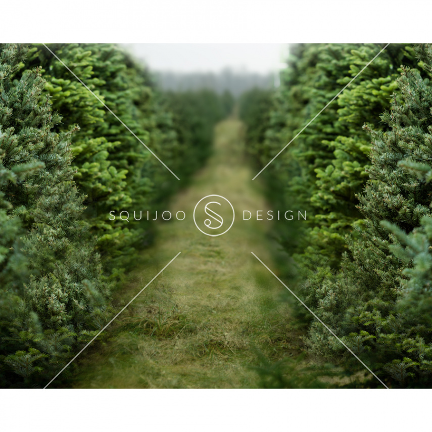 Christmas Tree Farm Digital Backdrops ( x ) – Squijoo