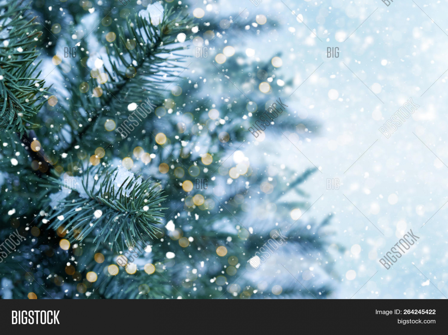 Closeup Christmas Tree Image & Photo (Free Trial)  Bigstock