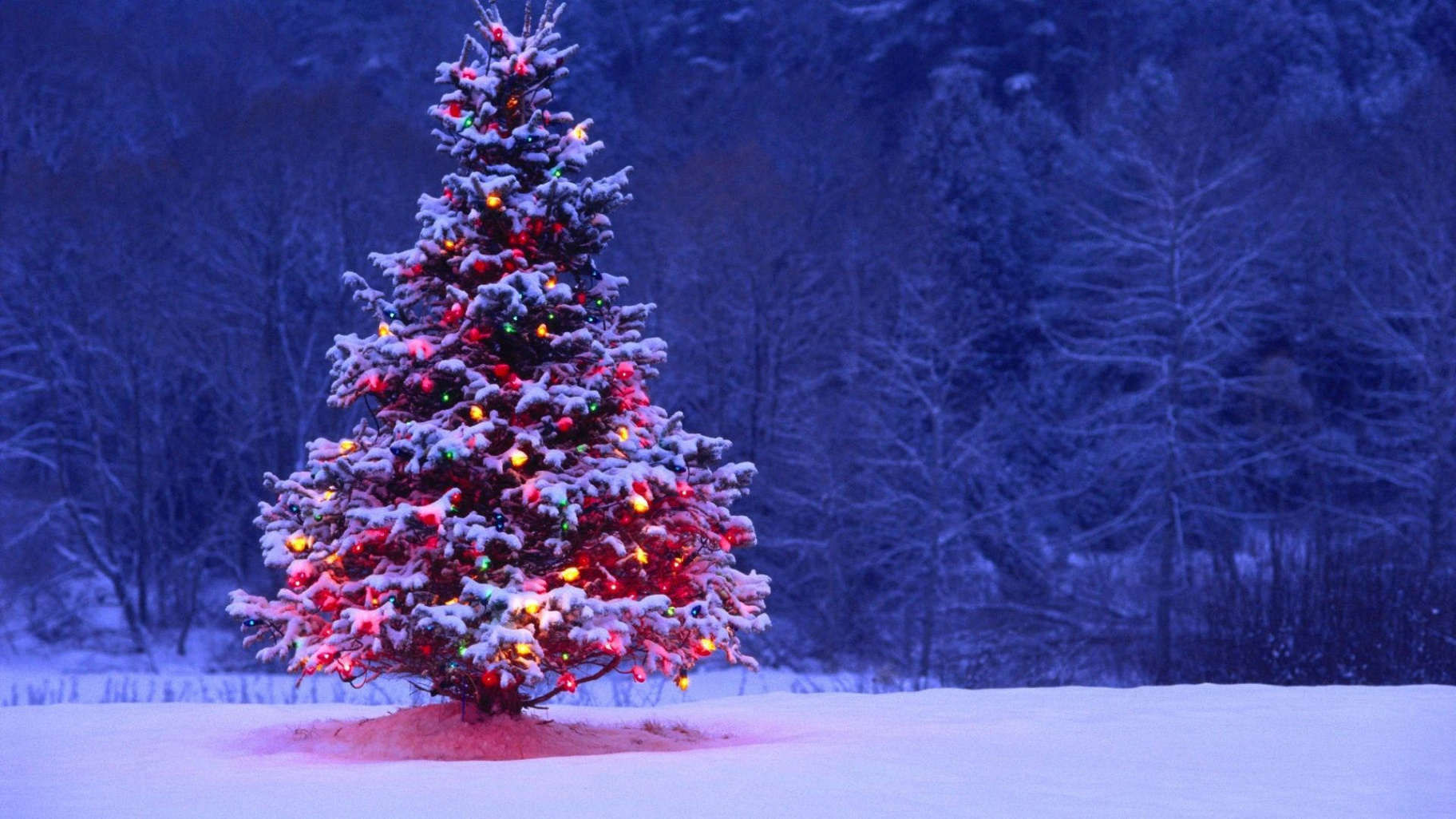 Download Christmas Tree Winter Landscape Wallpaper  Wallpapers